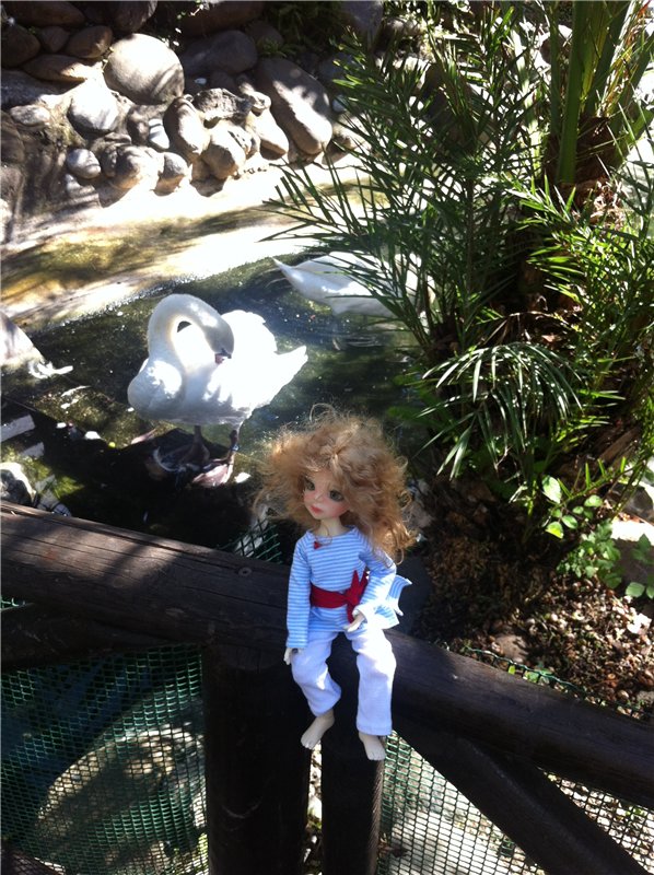 Большое путешествие маленькой девочки. Kaye Wiggs, Nutmeg