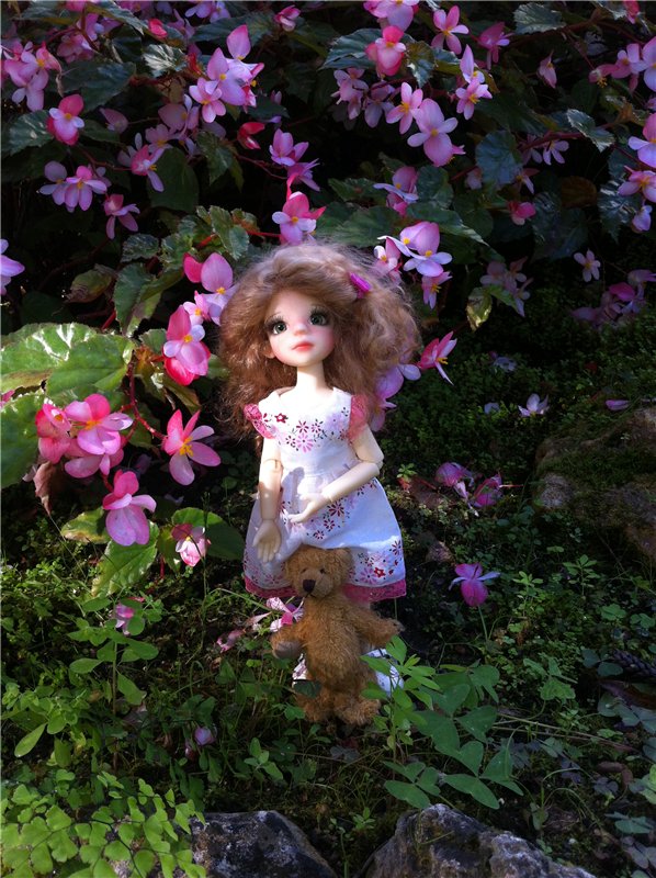 Большое путешествие маленькой девочки. Kaye Wiggs, Nutmeg