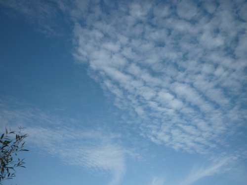 Золотая осень. Старый Оскол, Белгородская область (фото 6)