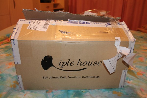 Моя первая БЖД Хлоя BID Iplehouse