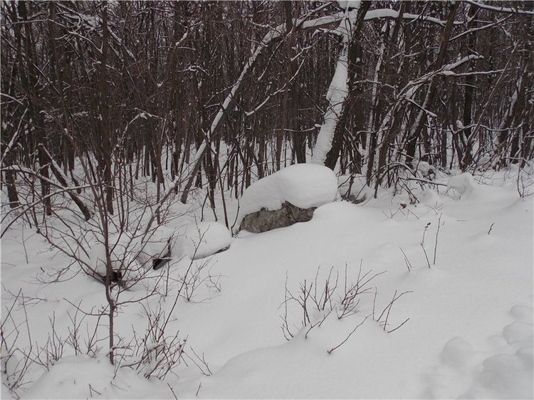 Тропинки Куш - Тау или Варваркины выходные (фото 9)