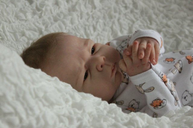 Мальчик Ноэльчик... Куколка реборн Виктории Вишни