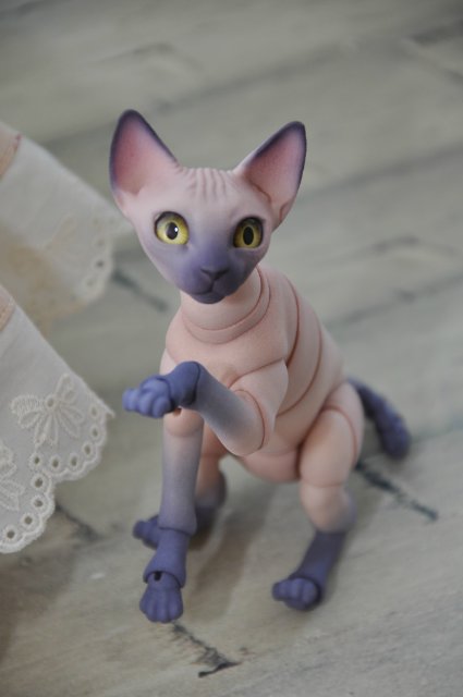 А кто к нам приехал!!! Мей Мей от Кайе Виггз и ее новый друг