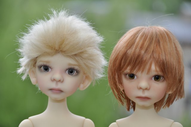 Приехали Морисы от Кайе Виггз. Презабавнейшие (фото 2)