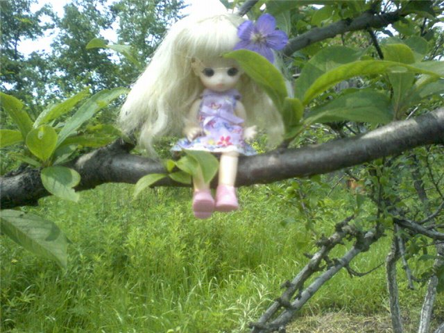 Фотоальбом моих кукол, бывших и нынешних