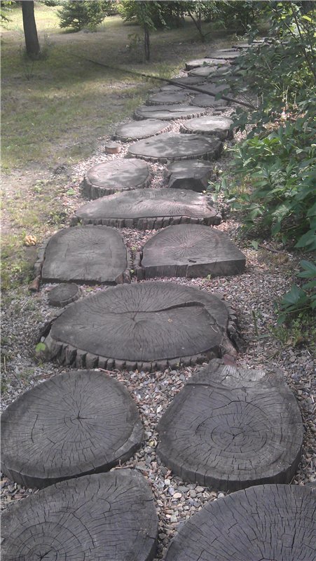 Маленький парк — Куклы Dollzone (Доллзон): BJD (БЖД)