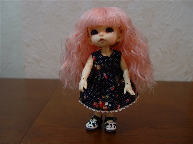 Приехала наконец-то моя Пукифи Анте (фото 6)