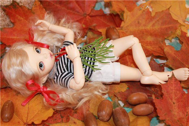 Осень у нас дома | Бэйбики Осень у нас дома — Куклы Fairyland (ФэйриЛэнд): BJD (БЖД) (фото 7)