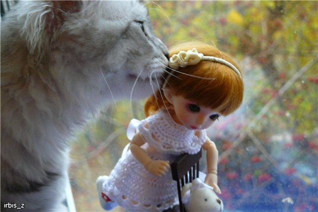 О чем шептала кошка или наши переодевалочки. PukiFee Ante Ариэтти, PukiFee Bonnie Ариэль (фото 6)