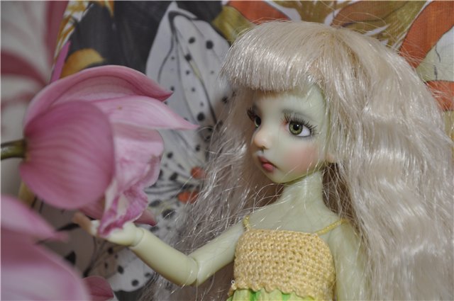 Пополнение в семействе Коричек-KW Cinnamon Green Elf!Седьмой тиник от Кайи и первый эльфик с копытцами) | Бэйбики Пополнение в семействе Коричек-KW Cinnamon Green Elf!Седьмой тиник от Кайи и первый эльфик с копытцами) (фото 10)