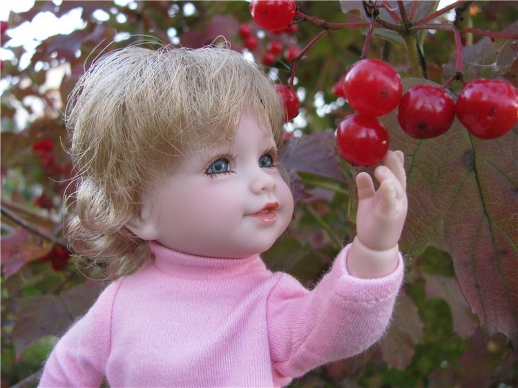 Жизнь моих маленьких Адорок