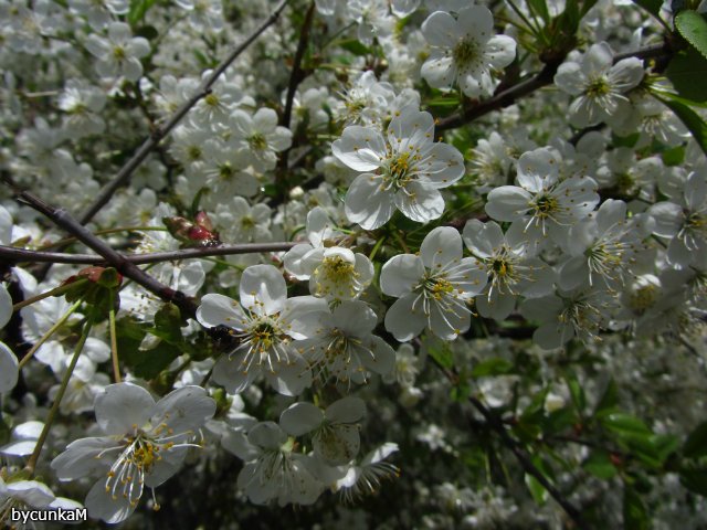 После дождичка в четверг — Болталка и разговоры обо всем: жизнь (фото 9)