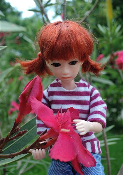 Женькина поездка — Куклы и тела Obitsu (Обитсу): 1/6