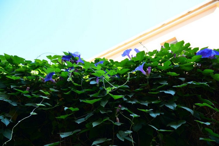 Ницца, Марсель, море и горы