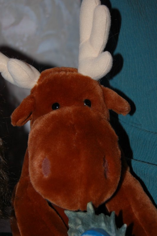 Праздник у нас дома — Домашние коллекции кукол: фото собраний