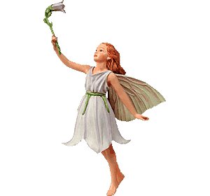 Долгая жизнь цветочных фей от иллюстраций Cicely Mary Barker до кукол Birgitte Frigast