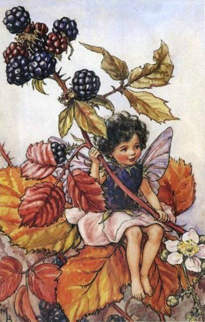 Долгая жизнь цветочных фей от иллюстраций Cicely Mary Barker до кукол Birgitte Frigast