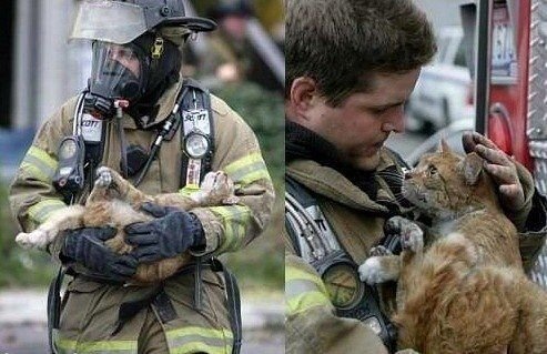 Не просто фото | Бэйбики Не просто фото — Болталка и разговоры обо всем: жизнь (фото 9)