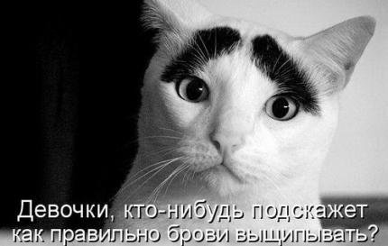 Как прекрасен этот мир, посмотри... "Хороший фотограф тот, кто сумеет выстроить на одной оси глаз, голову и сердце"