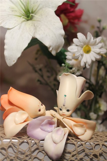 Как мы встречали братишку Гошу! (Цветуля-2). Fairies, Dollzone