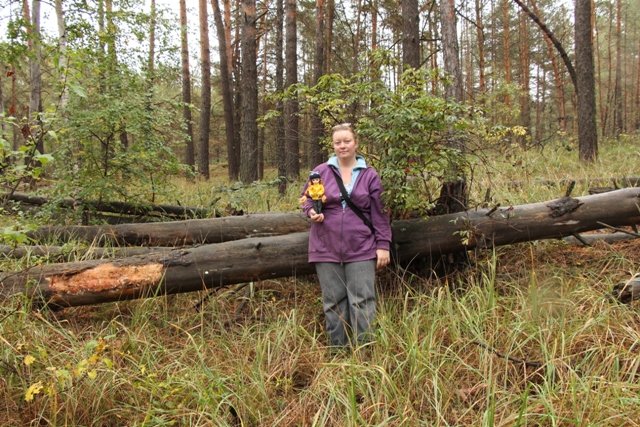 По грибы. Бузулукский бор