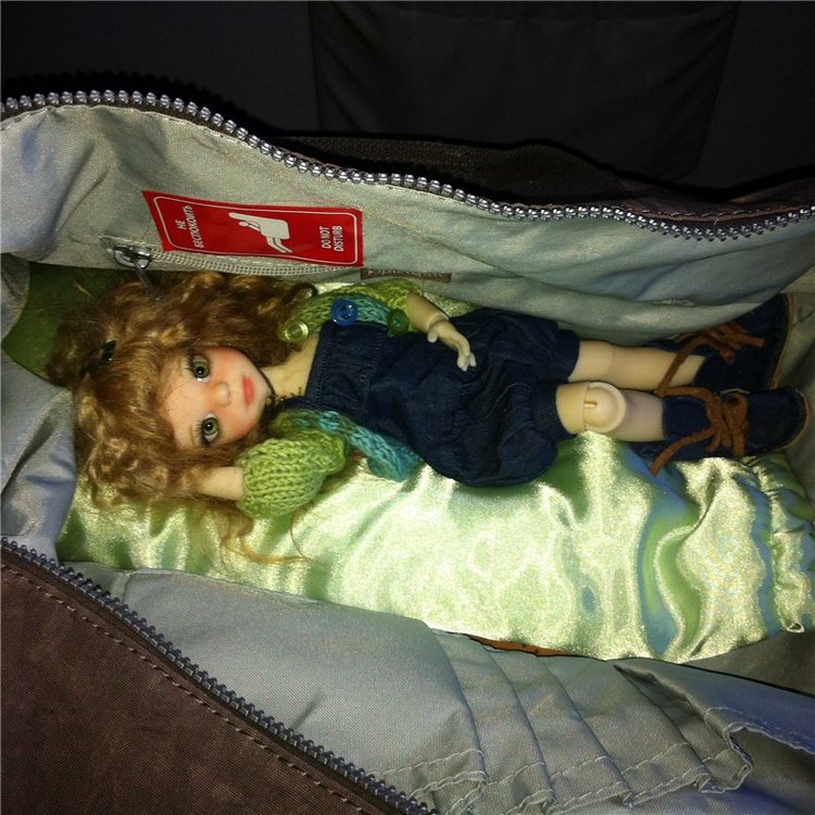 Большое путешествие маленькой девочки. Kaye Wiggs, Nutmeg (фото 8)