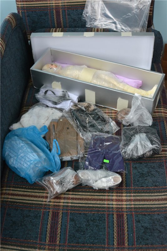 Эдмунд приехал — Куклы 5stardoll (5стар): китайские BJD (фото 3)