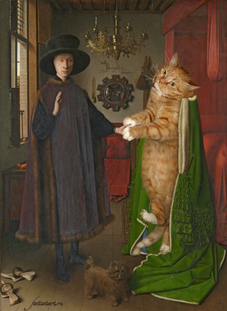 «Мяу» особого назначения или Весенняя кошкотерапия