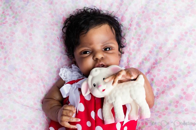 Молдик Эсме Laura Lee Eagles Прототип номер 3