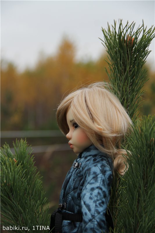 Моя прекрасная Ларисса от Kaye Wiggs (фото 4)