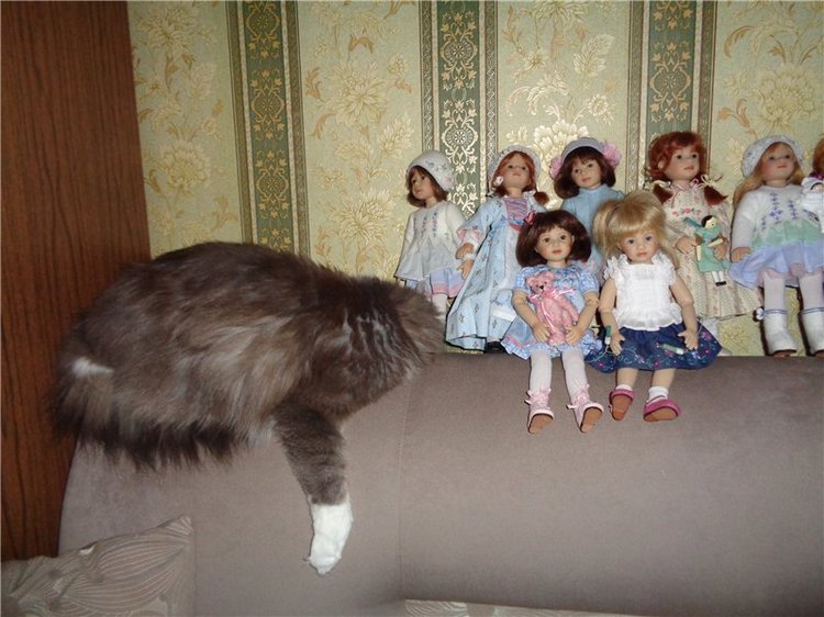 Я их посчитала... Коллекция виниловых кукол от Heidi Plusczok, часть 2