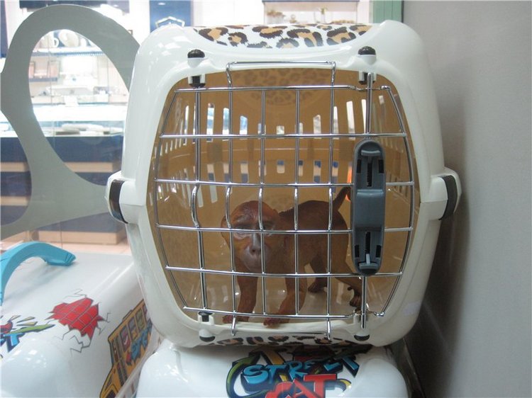 Анжела — Интересные игрушки и фигурки (разное): редкие (фото 8)