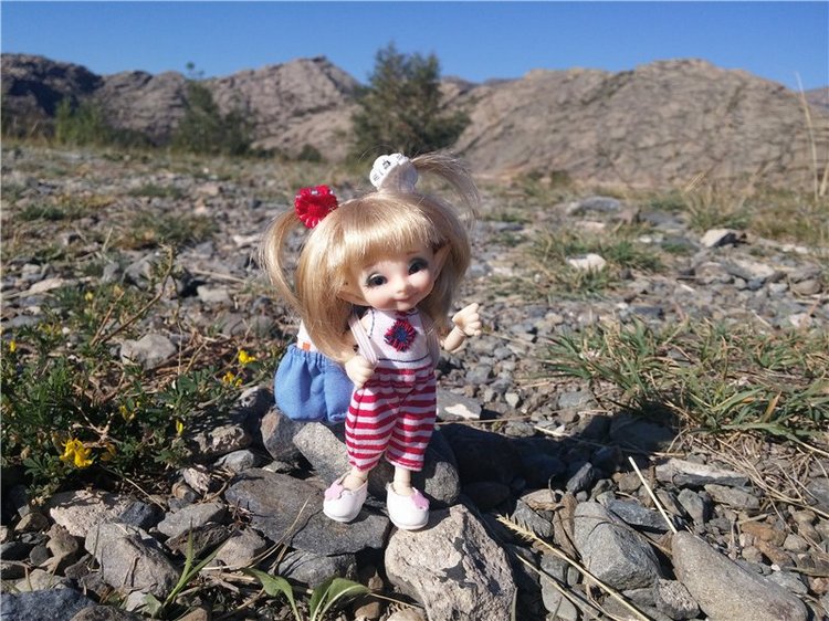 Сибинские озера. Фросенька-эльф высокогорный. ReaiPuki Pupu (фото 7)