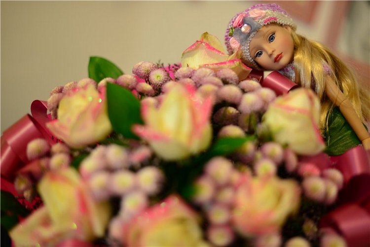 Первые прогулки Алисы — Фэшн