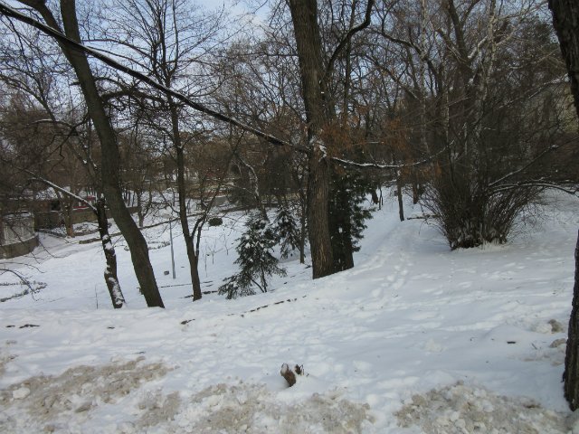 Чем бы заняться юному лорду 30 декабря