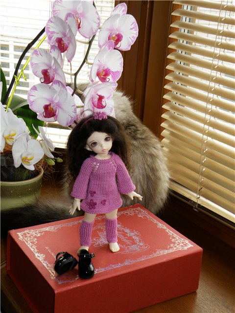 Мишелька-Моделька — Одежда и обувь для кукол BJD (БЖД): 1/3