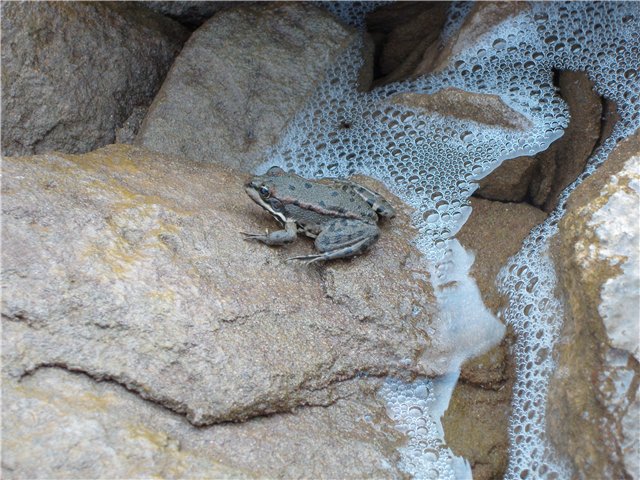 Красота родной Башкирии — Туризм и путешествия: фотоотчеты из поездок (фото 9)