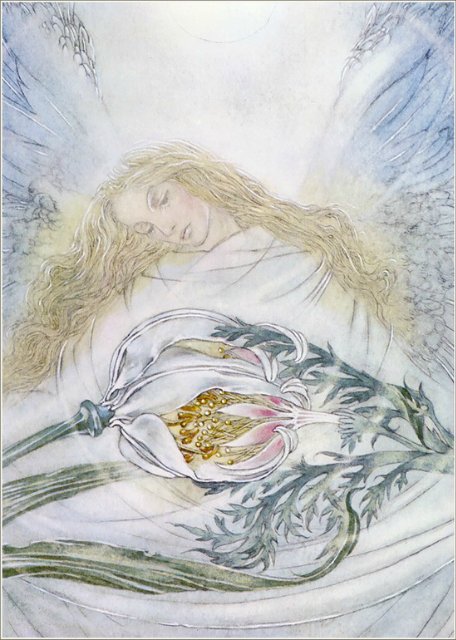 Крылатые сновидения Суламифи Вульфинг