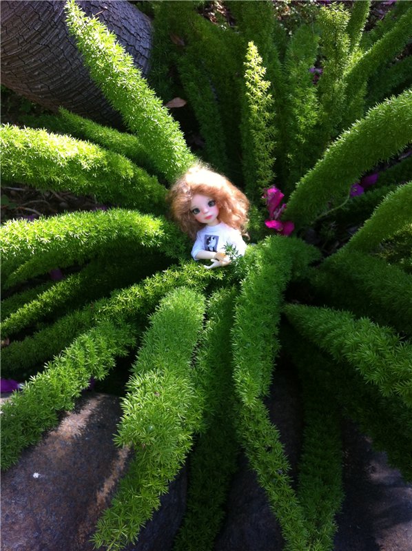 Большое путешествие маленькой девочки. Kaye Wiggs, Nutmeg