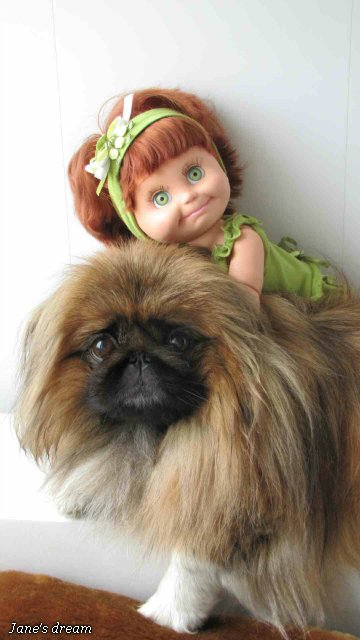 Прекрасные Феи Цветов. Galoob - Baby Face, часть 1