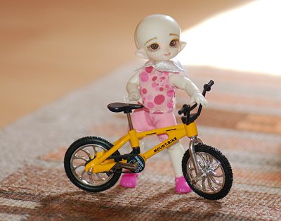 Покаталась... или история о том, как Буу велосипед подарили