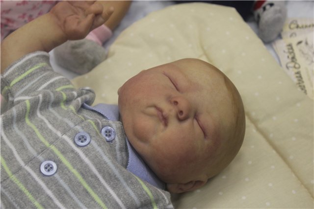 Картинки с выставки "Время кукол" (фото 7)