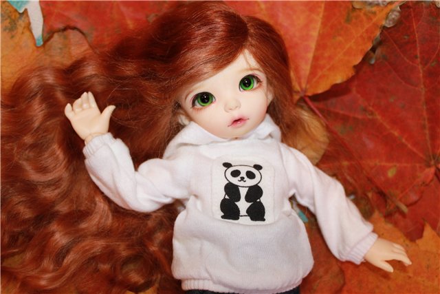 Осень у нас дома | Бэйбики Осень у нас дома — Куклы Fairyland (ФэйриЛэнд): BJD (БЖД) (фото 9)