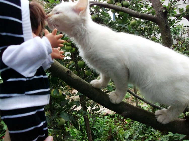 Малышка Робин, Galoob Baby Face - надутые губки (фото 5)