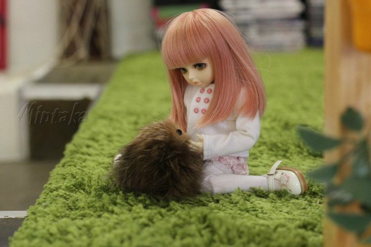 Отчет за весну-лето или просто "Немножко Кими" =)