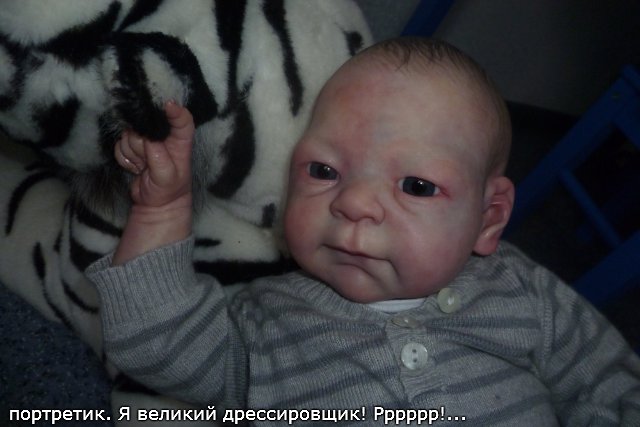 Долгожданный Артёмка в своих новых апартаментах (фото 6)
