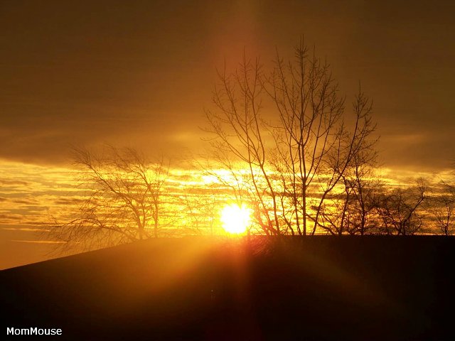 Очаровательные ангелы от Fayzah Spanos