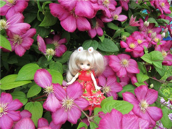 Дюймовочка. Мэгги в саду | Бэйбики Дюймовочка. Мэгги в саду — Куклы Fairyland (ФэйриЛэнд): BJD (БЖД)