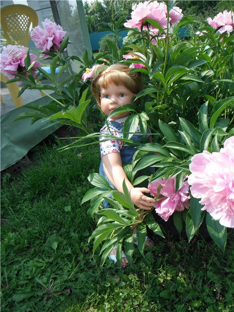 Пополнение коллекции. Мои мидлтошки