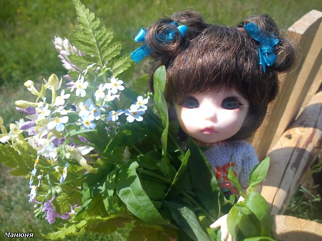 Манюнькино лето-2 (Полевые цветы) PukiFee Ante (фото 4)
